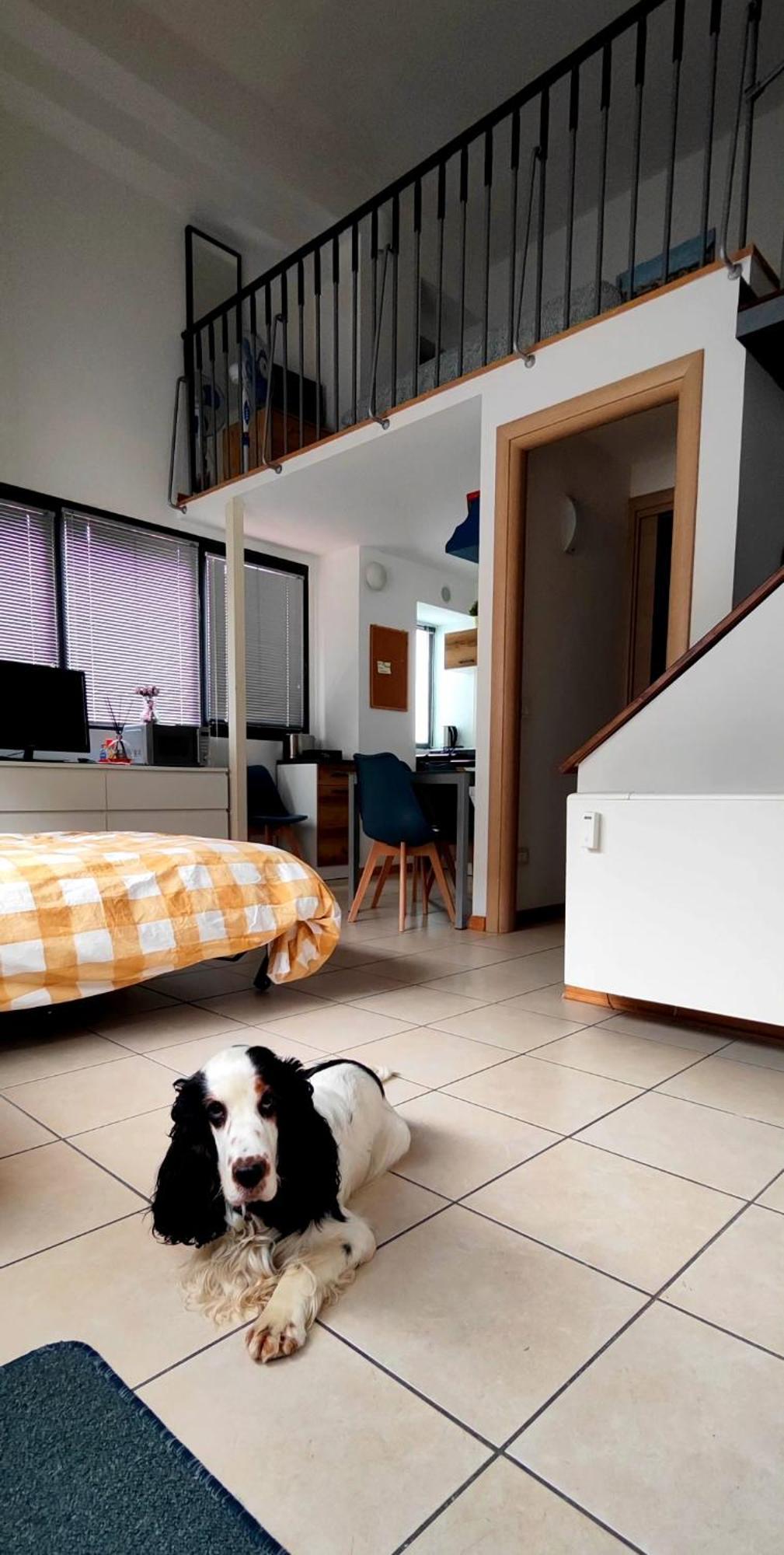 Gemme Fiorentine Apartments In Front Of The Train Station 5 Minutes From The Centre Free Parking ฟลอเรนซ์ ภายนอก รูปภาพ